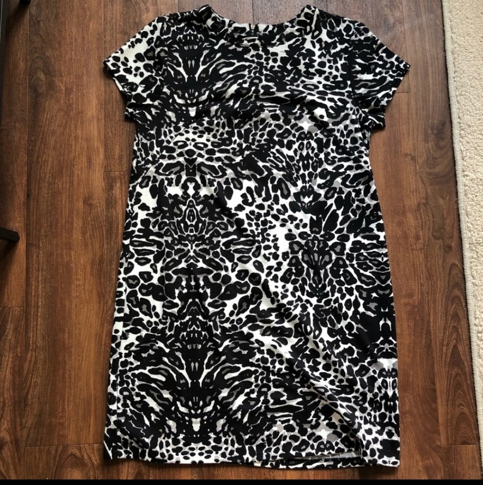 Leopard Print Short Sleeve Shift Dress, S